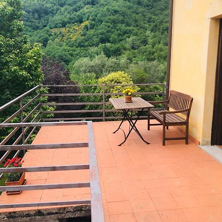 La Vecchia Canonica Fivizzano Exteriör bild