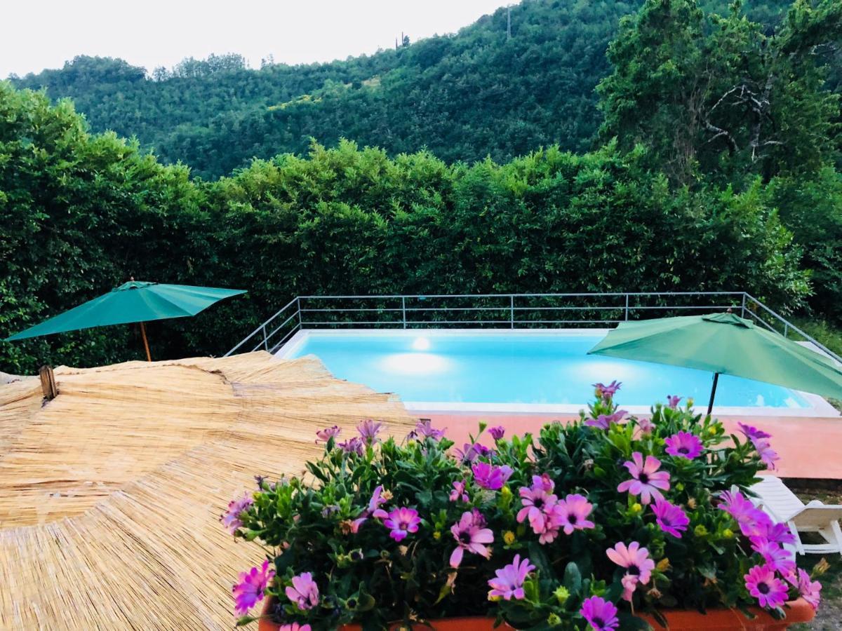 La Vecchia Canonica Fivizzano Exteriör bild
